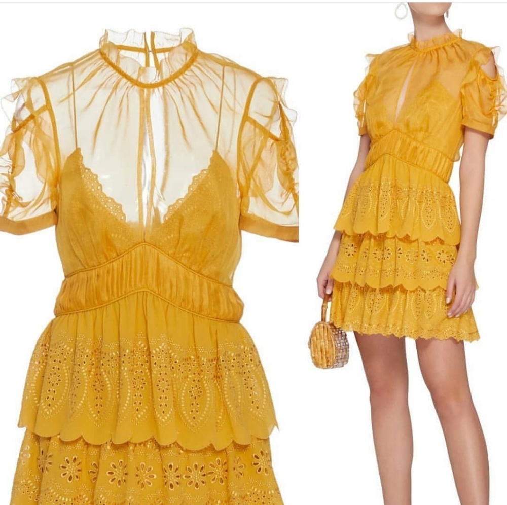 COPY - Designer Embroidered Tiered Chiffon Mini Dress